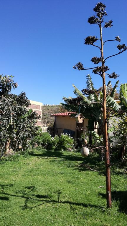 Villa Canaria Piscina Jacuzzi Jardin Santa Maria de Guia de Gran Canaria Екстериор снимка