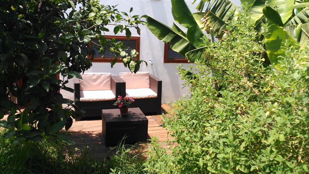 Villa Canaria Piscina Jacuzzi Jardin Santa Maria de Guia de Gran Canaria Екстериор снимка