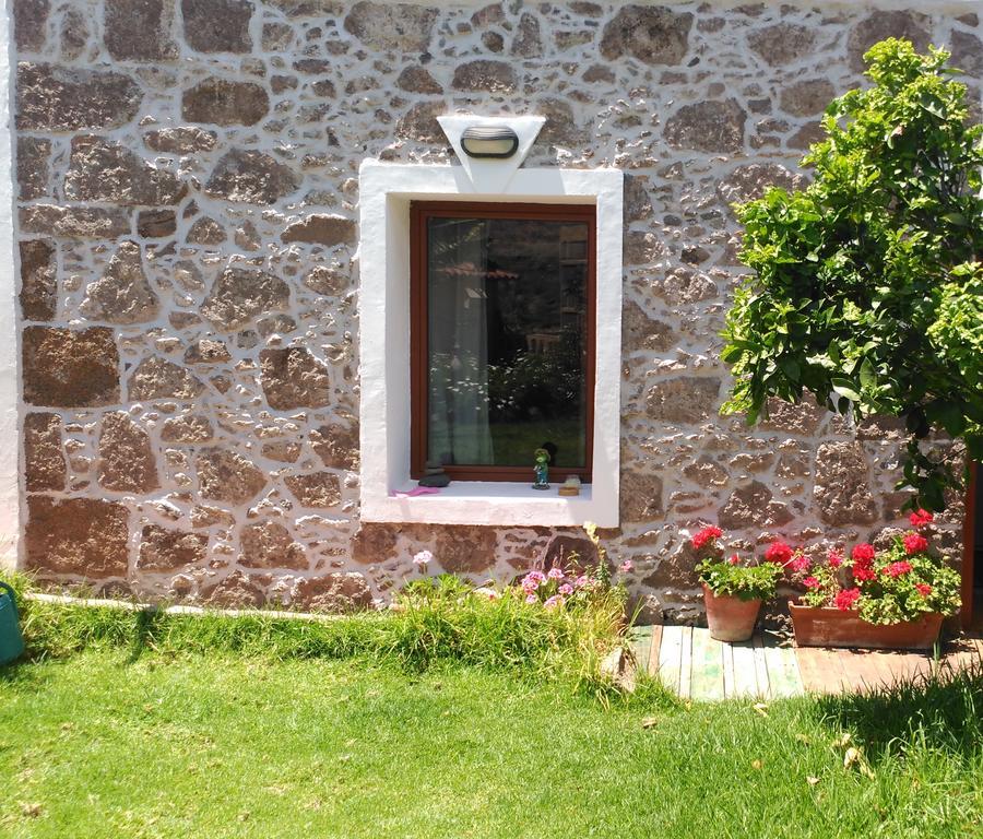 Villa Canaria Piscina Jacuzzi Jardin Santa Maria de Guia de Gran Canaria Екстериор снимка