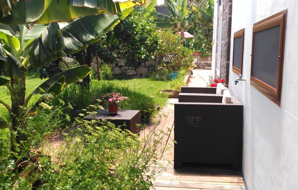 Villa Canaria Piscina Jacuzzi Jardin Santa Maria de Guia de Gran Canaria Екстериор снимка