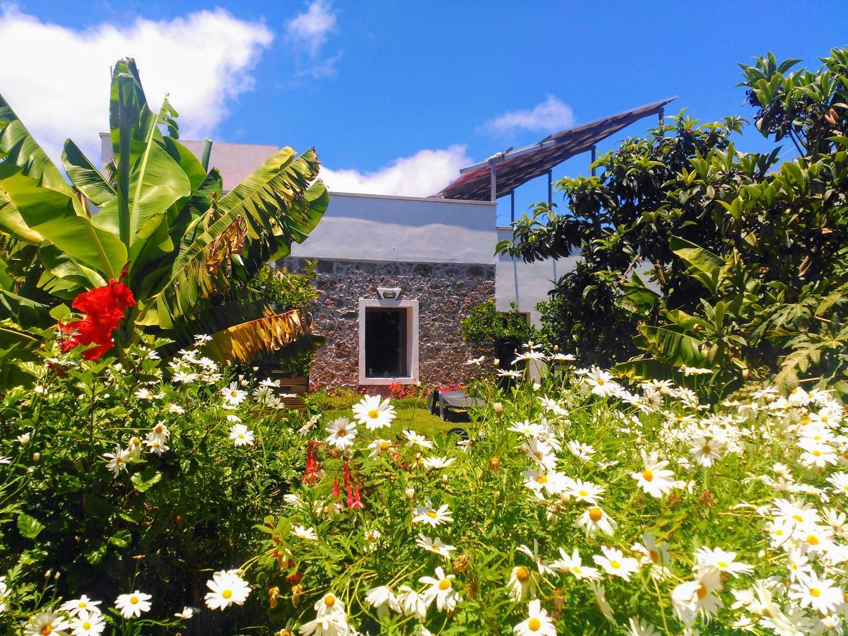 Villa Canaria Piscina Jacuzzi Jardin Santa Maria de Guia de Gran Canaria Екстериор снимка