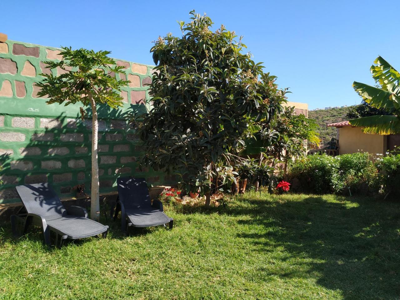 Villa Canaria Piscina Jacuzzi Jardin Santa Maria de Guia de Gran Canaria Екстериор снимка