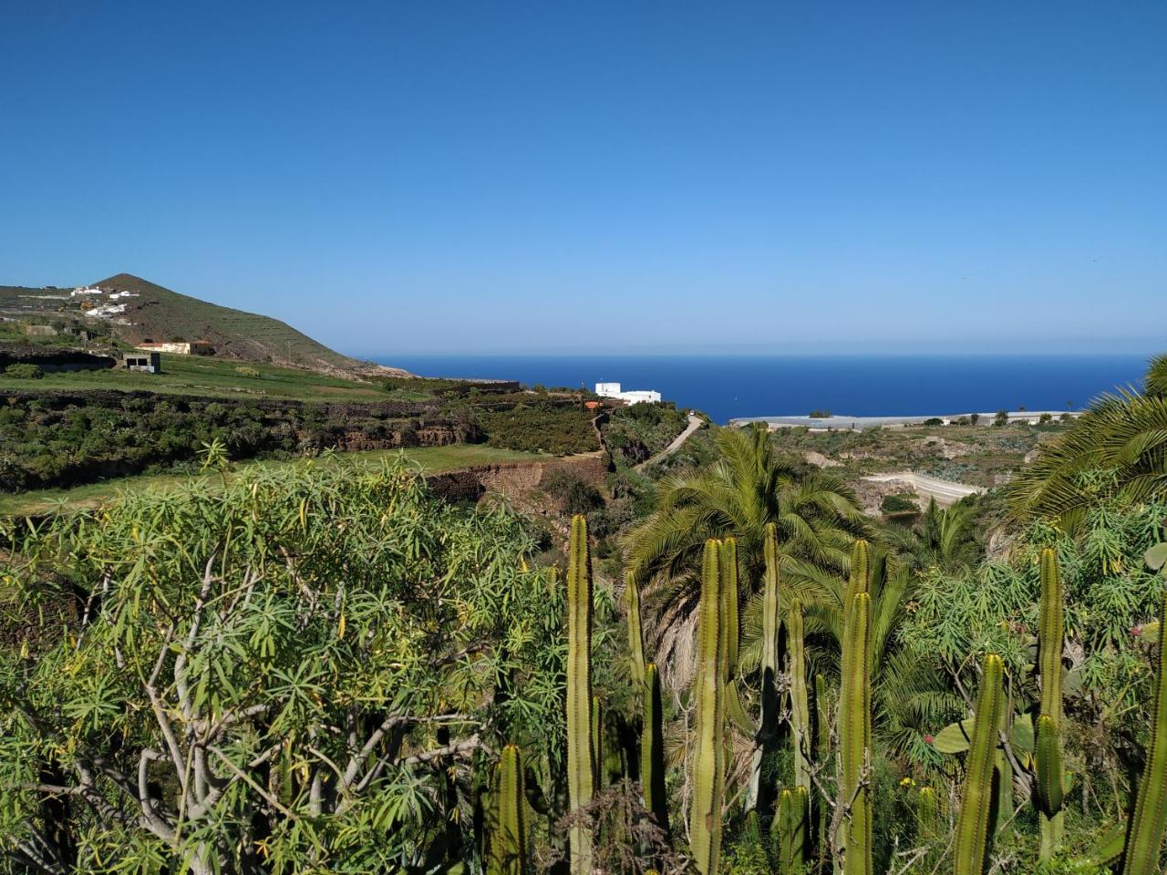 Villa Canaria Piscina Jacuzzi Jardin Santa Maria de Guia de Gran Canaria Екстериор снимка