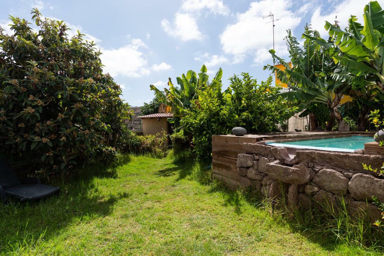 Villa Canaria Piscina Jacuzzi Jardin Santa Maria de Guia de Gran Canaria Екстериор снимка