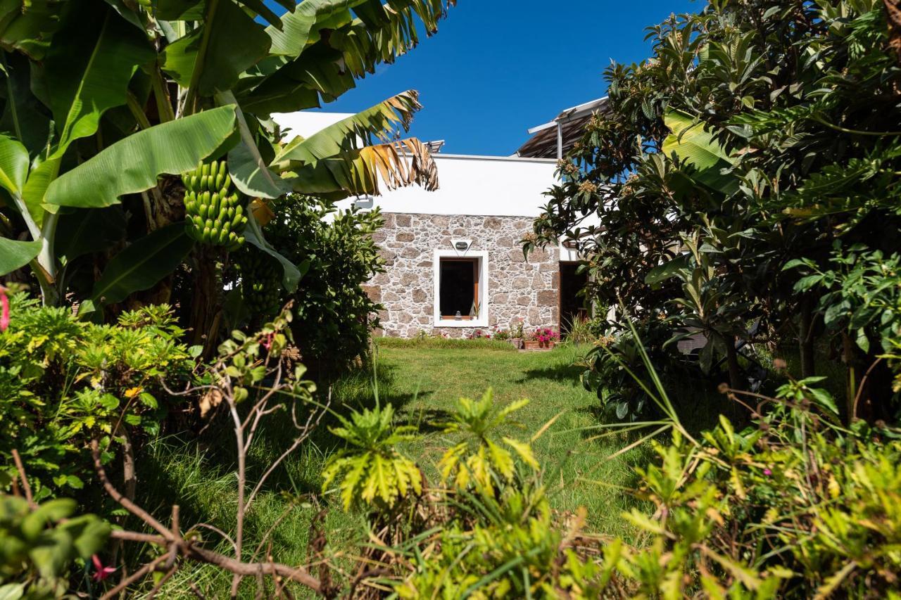 Villa Canaria Piscina Jacuzzi Jardin Santa Maria de Guia de Gran Canaria Екстериор снимка